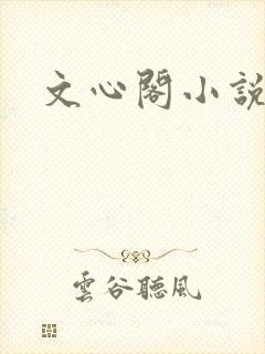文心阁小说