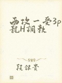 两攻一受3p双龙H调教