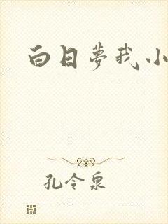 白日梦我小说