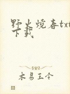 野火烧春txt下载