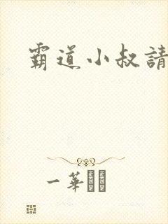 霸道小叔请轻撩