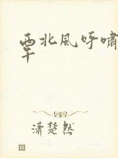 西北风呼啸的中午