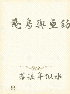 飞鸟与鱼的故事