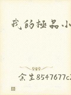 我的极品小姨