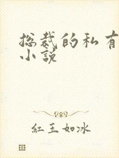 总裁的私有宝贝小说