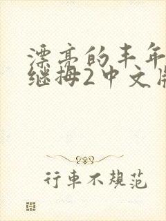 漂亮的丰年经的继拇2中文版