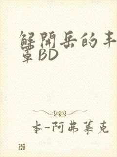 解开岳的丰满奶罩BD
