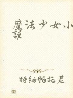 魔法少女小圆小说