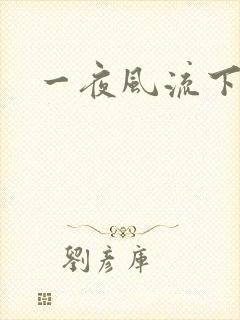 一夜风流下载