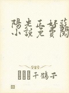 阳光正好苏玥玥小说免费阅读无弹窗