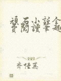 顽石小说全文免费阅读笔趣阁