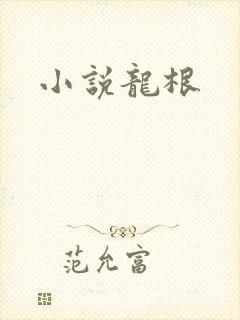 小说龙根