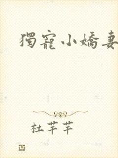 独宠小娇妻