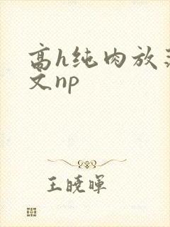 高h纯肉放荡h文np