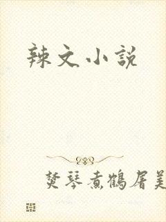 辣文小说