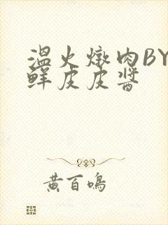 温火炖肉BY海鲜皮皮酱