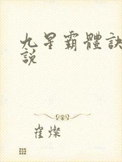 九星霸体诀 小说