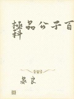 极品公子百度百科