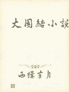 大团结小说下载