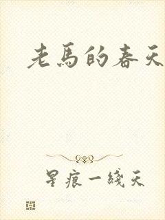老马的春天敏静