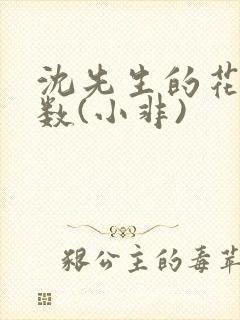 沈先生的花式调数(小非)