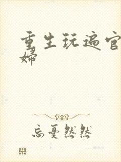 重生玩遍官场贵妇