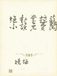 绝对掌控苏绵绵小说免费阅读全文