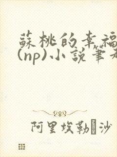 苏桃的幸福生活(np)小说笔趣阁沐沐