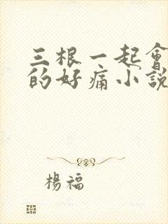 三根一起会坏掉的好痛小说