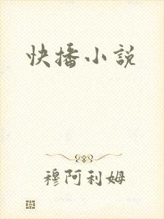 快播小说