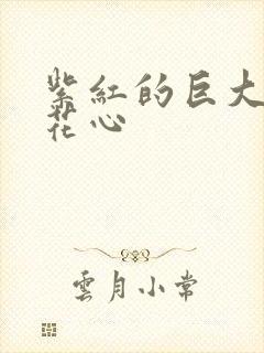 紫红的巨大顶开花心