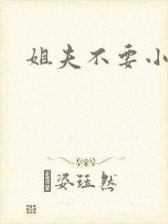 姐夫不要小说