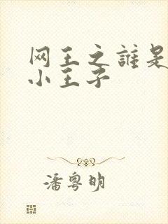 网王之谁是我的小王子