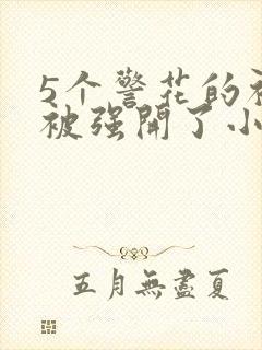 5个警花的初苞被强开了小说
