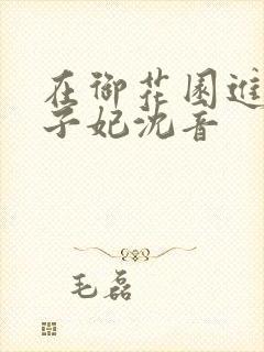 在御花园进入太子妃沈音