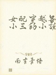 女配穿越各个做小三的小说