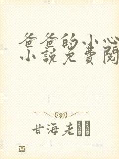 爸爸的小心肝儿小说免费阅读