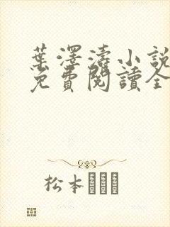 叶泽涛小说全文免费阅读全文