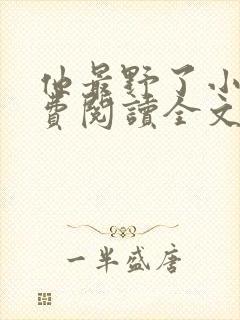 他最野了小说免费阅读全文