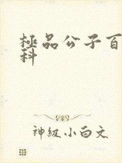 极品公子百度百科