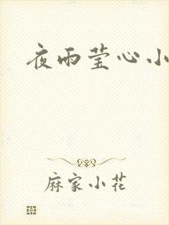 夜雨莹心小说