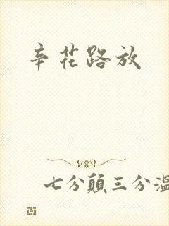 辛花路放