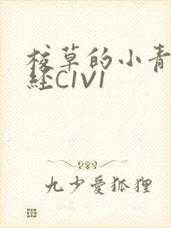 校草的小青梅不经C1V1