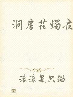 洞房花烛夜小说