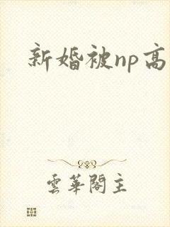 新婚被np高h