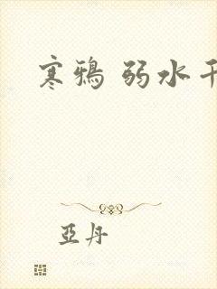 寒鸦 弱水千流