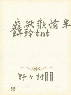 瘾欲欢愉半块小饼干tnt