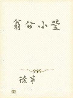 翁公小莹