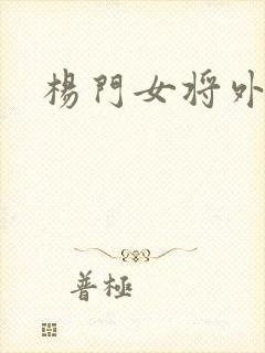 杨门女将外传
