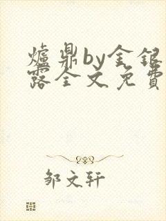 炉鼎by金银花露全文免费阅读笔趣阁